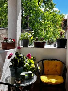 Apartments Gabliani in Mestia