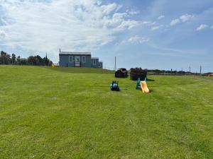 The Dozy Donkey Shepherd Hut & Sauna Farm Stay
