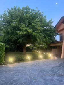 La Casa dell'Acero b&b Versilia img8