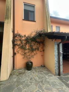La Casa dell'Acero b&b Versilia img36