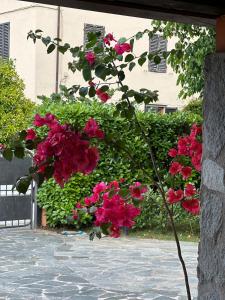 La Casa dell'Acero b&b Versilia img13
