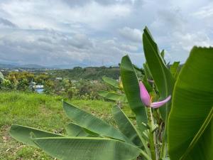 The Heaven Homestay