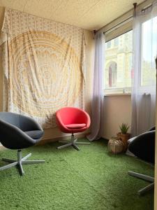 Le Bollywood - Vieux Mans - 2 chambres