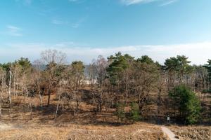 Prora - Dachgeschoss-Apartment mit Strandkorb am Strand- Ausblick