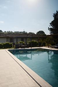 Agriturismo Anfora della Vita