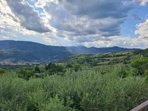 Oasi della Calvana