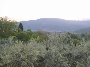 Oasi della Calvana