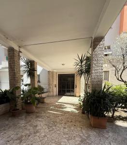 Arivaticanhouse