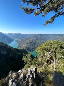 Splav Lago Verde