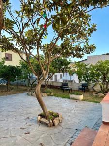 Casa vacanze con giardino e posto auto img13