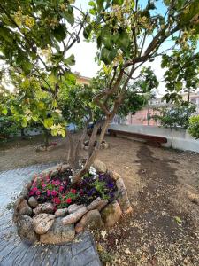 Casa vacanze con giardino e posto auto img22