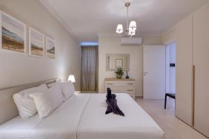 Luxury and spacious 2 bedroom apartment TNIK1-1