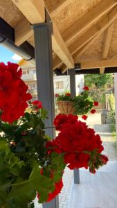 Djurdja 2 Apartman