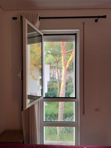 Sea and Pines Apartment