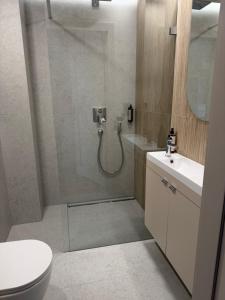 Apartament Sosnowy 45