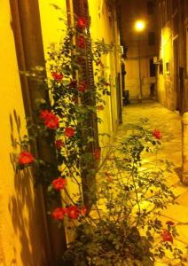 Malvasia rooms