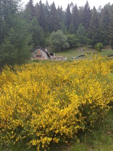 Rooms Alpe Veglia-Varzo