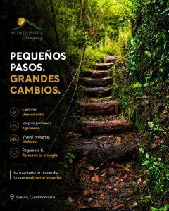 Glamping con Vista a la Montaña