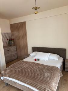 Madalina Apartments