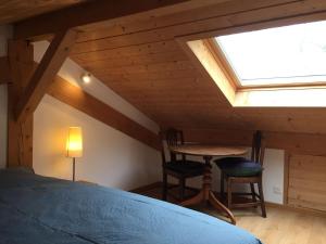 Cozy chalet with panoramic views in Leysin