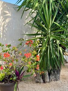 Apartamentos "Ala Residencias"