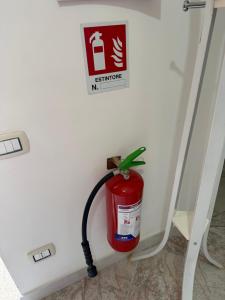 Auana 69