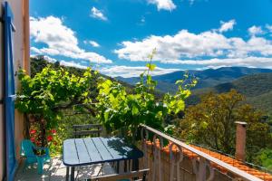 Petit Nid Solaire - Vue Pyrénées