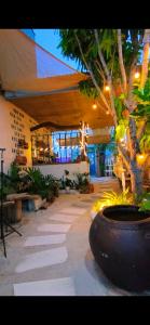 Homestay Nhà Có Gió