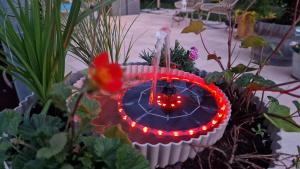 BnB "Les Coquelicots"