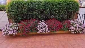 R2R - Villa Hortensia - C05A03