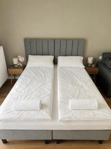 Cozy studio - close to city centre