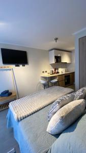 Nice studio in Peninsula de Cavancha