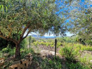 Appartamento Lacona Beach