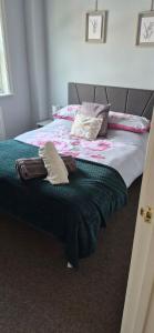 Cosy Flat In Axminster
