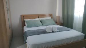 Homey Studio Apartment