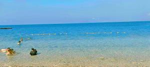 Sea-Sky Blue Beach Resort-Extension01 at Malabrigo Lobo Batangas
