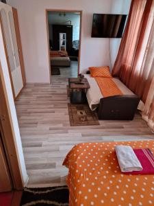 Apartament Maia