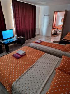 Apartament Maia