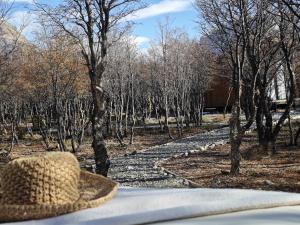 Viento de Glaciares