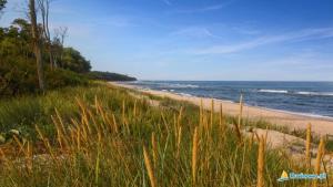 Szałwiowy Azyl - Rusinowo nowoczesne wnętrze