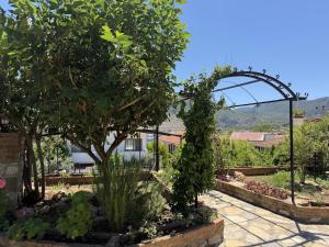 Lodos Selimiye - Spacious Vacation Apartment with Private Pool