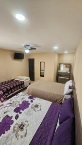 Habitaciones Casa Cuscatlan