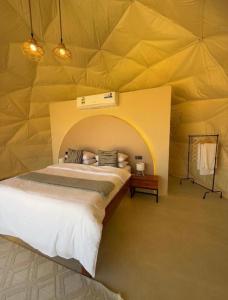 Bedouin Camp&tour