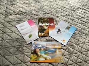 Violet Cozy Apartment - Bansko