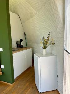 Tranquil Dome - Mantas Retreat Glamping Cornereva