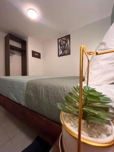 Alojamiento Jardin Balbuena cerca GNP AICM Zócalo 113