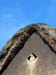 Reet-Denkmal am Elbstrand
