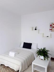 Terra Apartment Venice Mestre