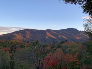 Morning Glory High Country
