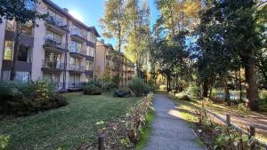 Departamento en pucon full equipado con wifi, camino al volcan a 5 min del centro
